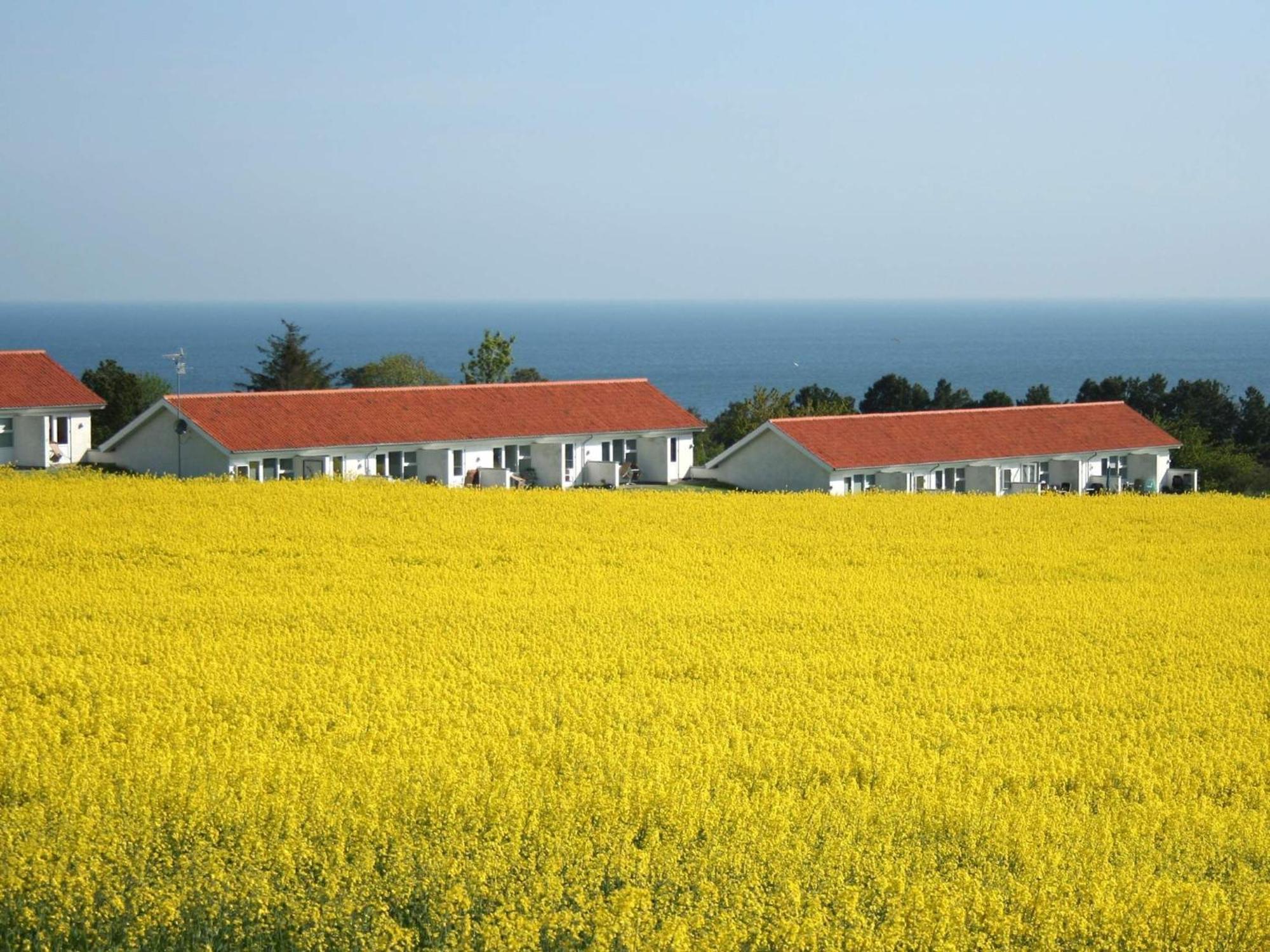 2 Person Holiday Home In Allinge Extérieur photo